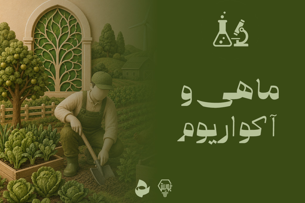 ماهی و آکواریوم